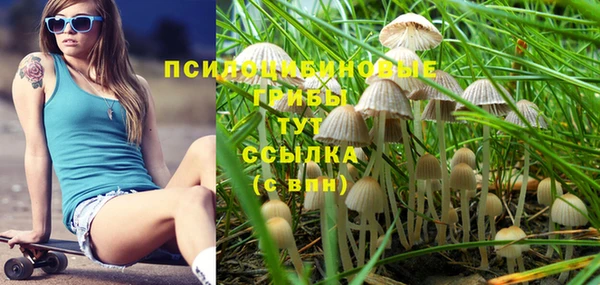 гашиш Дмитровск