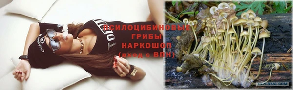 МДПВ Ельня