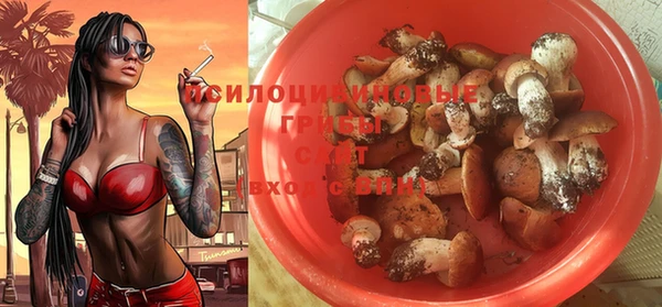 не бодяженный Дмитров