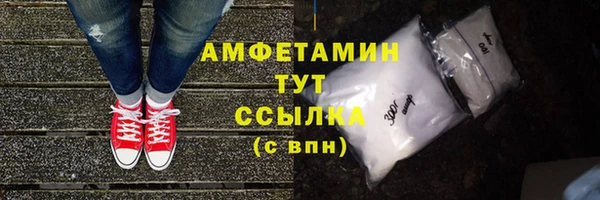 МДПВ Ельня
