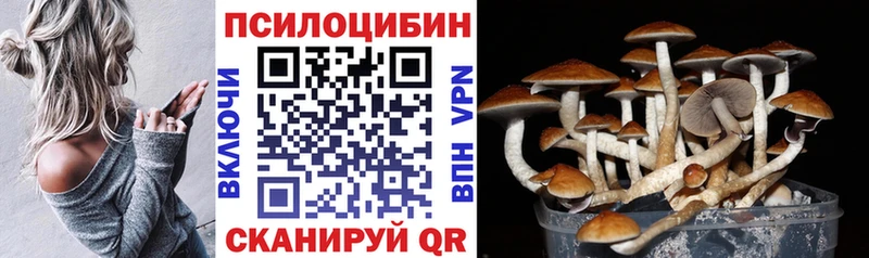 Купить закладки  Кировград  Псилоцибиновые грибы прущие грибы 