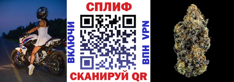 Купить закладки  Кировград  Конопля сатива 